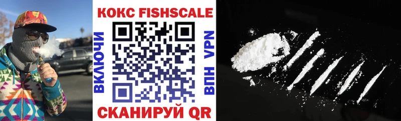 КОКАИН Fish Scale  цены наркотик  Данилов 